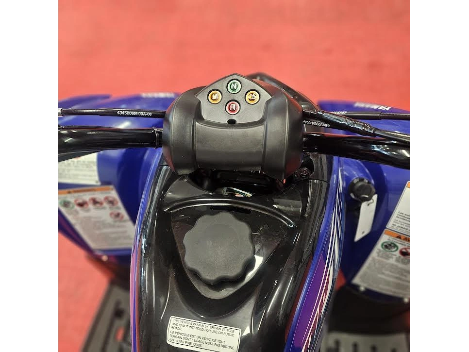 2026 Yamaha Raptor 110 alt