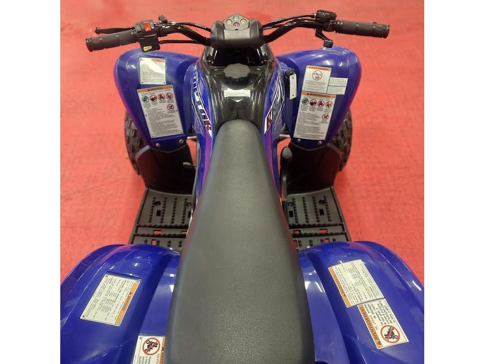 2026 Yamaha Raptor 110 alt
