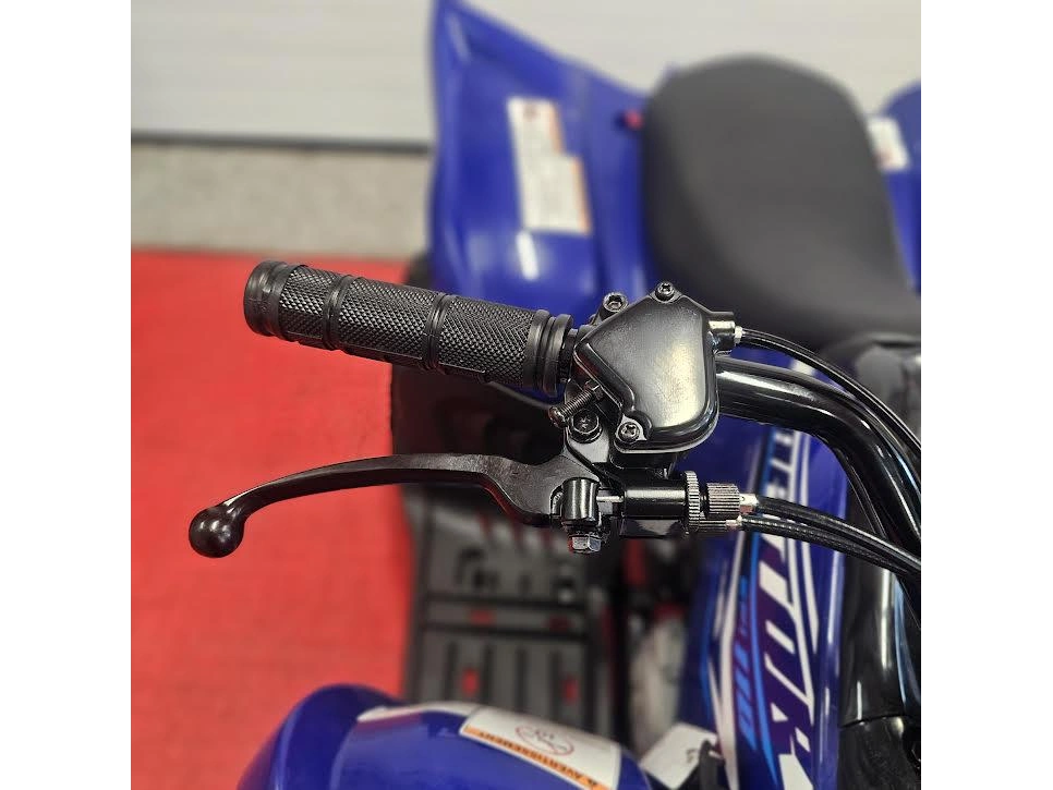 2026 Yamaha Raptor 110 alt