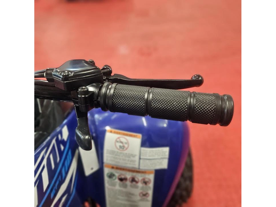 2026 Yamaha Raptor 110 alt