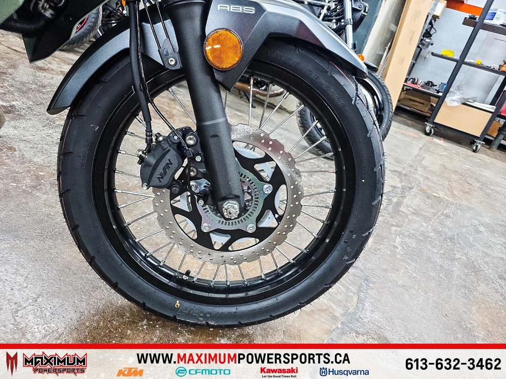 Kawasaki Versys-x 300 2025 alt