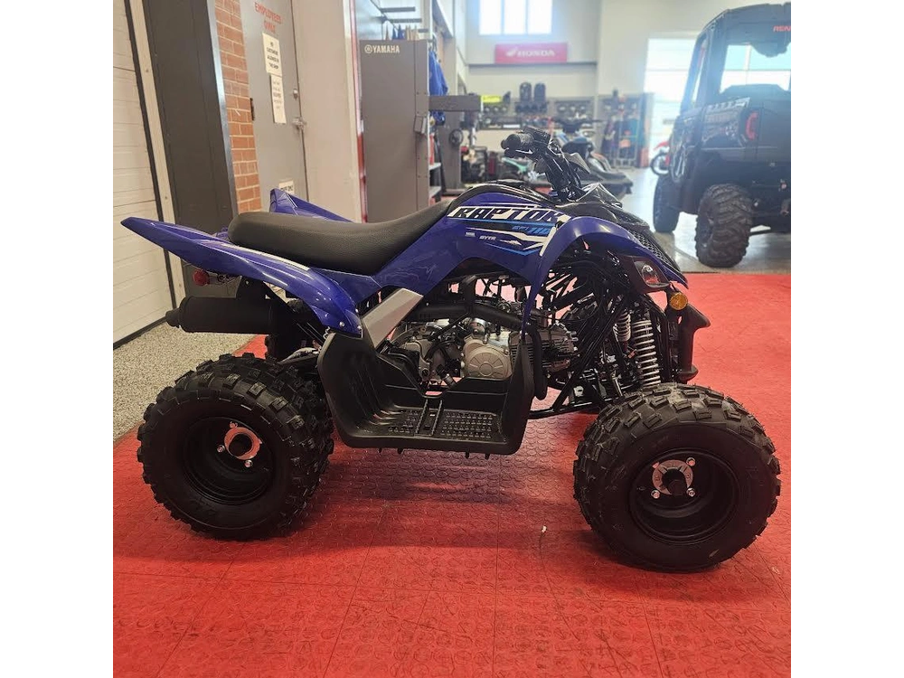2026 Yamaha Raptor 110 alt