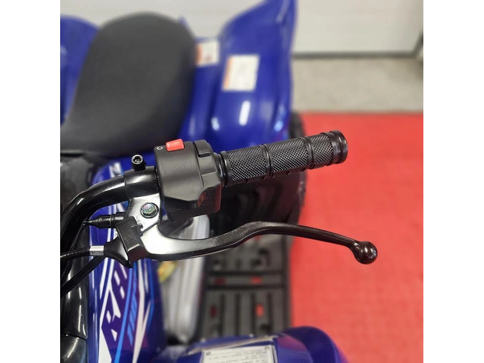 2026 Yamaha Raptor 110 alt