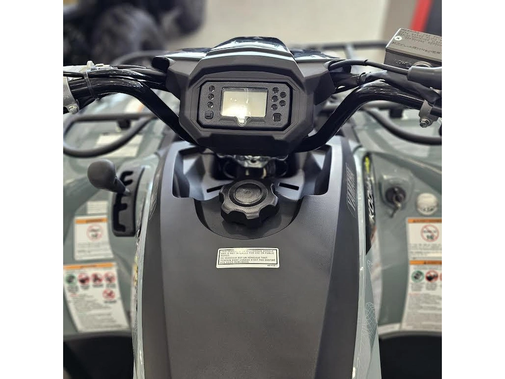 2026 Yamaha Kodiak 450eps Se alt