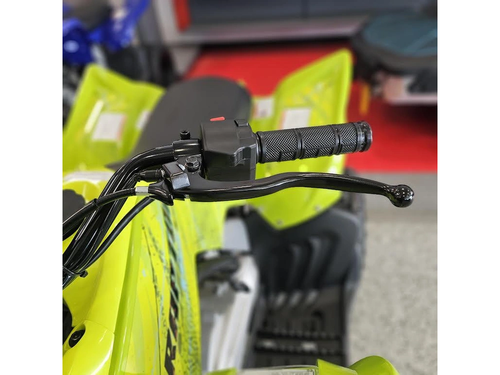 2026 Yamaha Raptor 110 alt