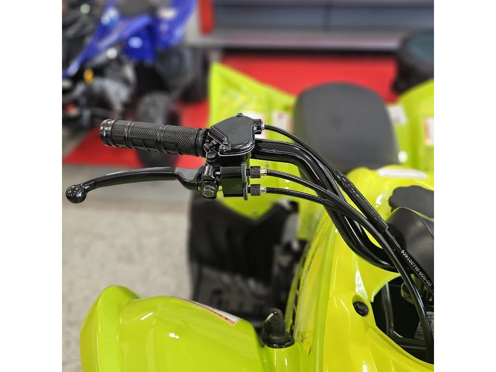 2026 Yamaha Raptor 110 alt