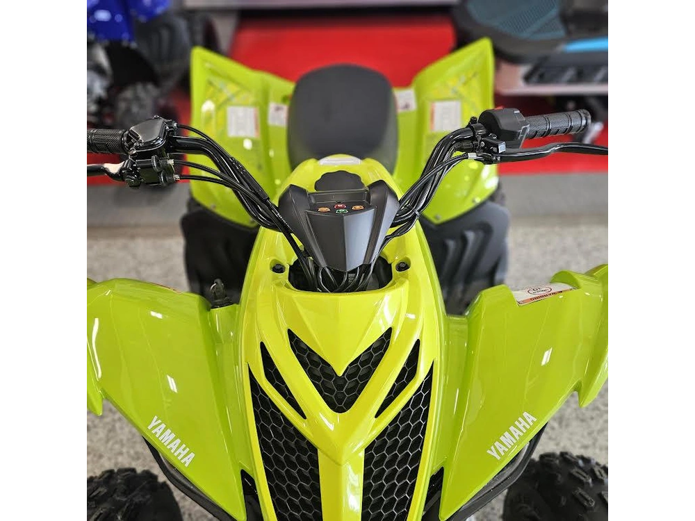 2026 Yamaha Raptor 110 alt