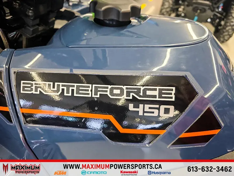2025 Kawasaki BRUTE FORCE 450 thumbnail 11