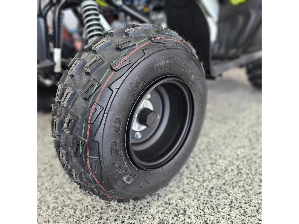 2026 Yamaha Raptor 110 alt