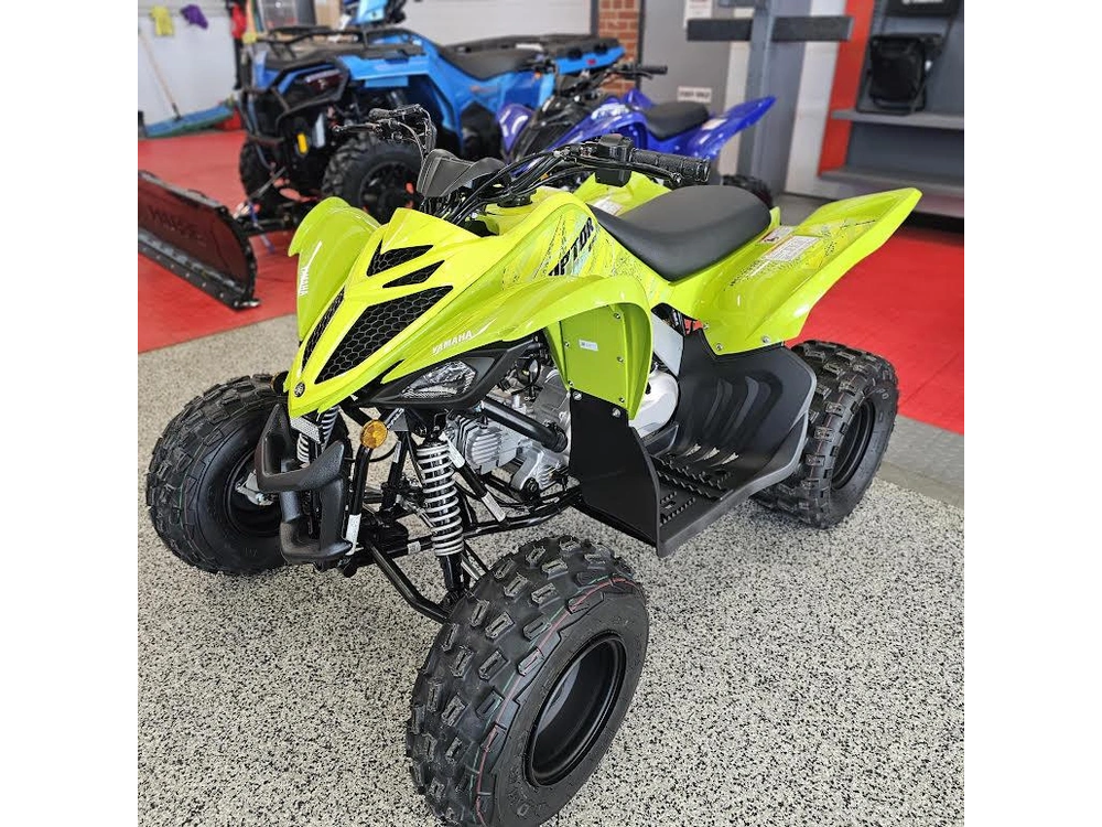 2026 Yamaha Raptor 110 alt