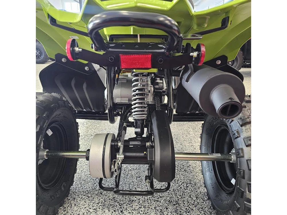 2026 Yamaha Raptor 110 alt