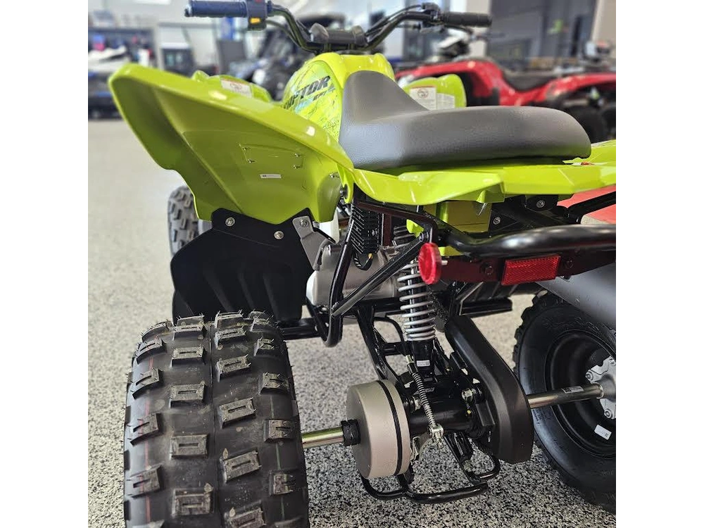 2026 Yamaha Raptor 110 alt