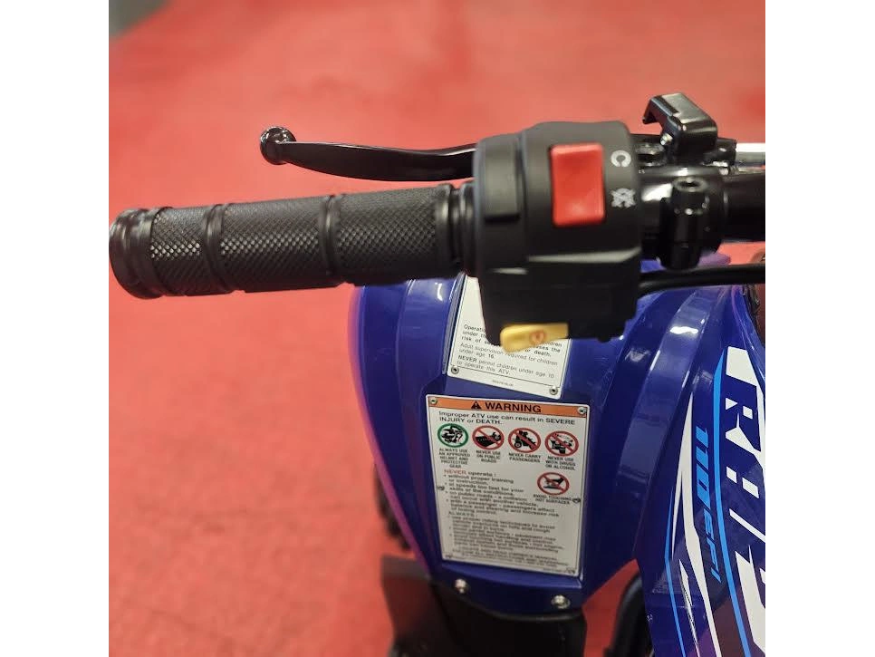 2026 Yamaha Raptor 110 alt