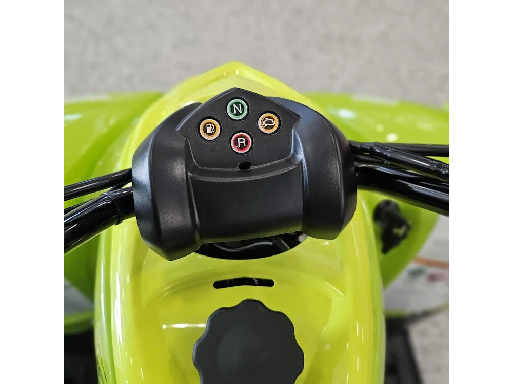 2026 Yamaha Raptor 110 alt