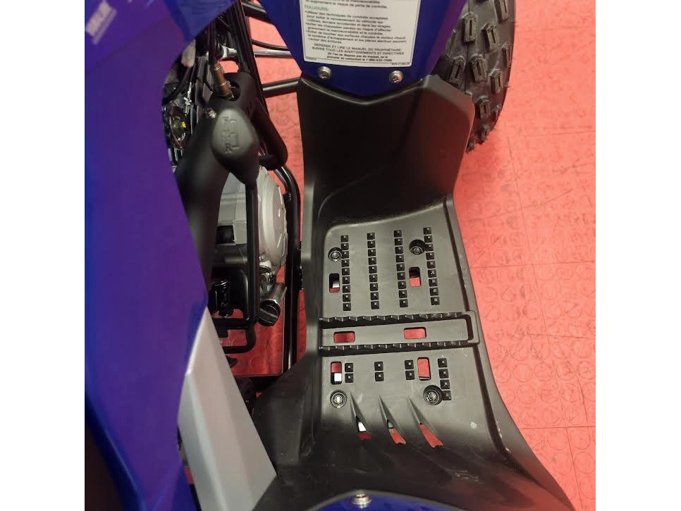 2026 Yamaha Raptor 110 alt