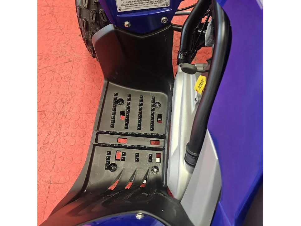 2026 Yamaha Raptor 110 alt