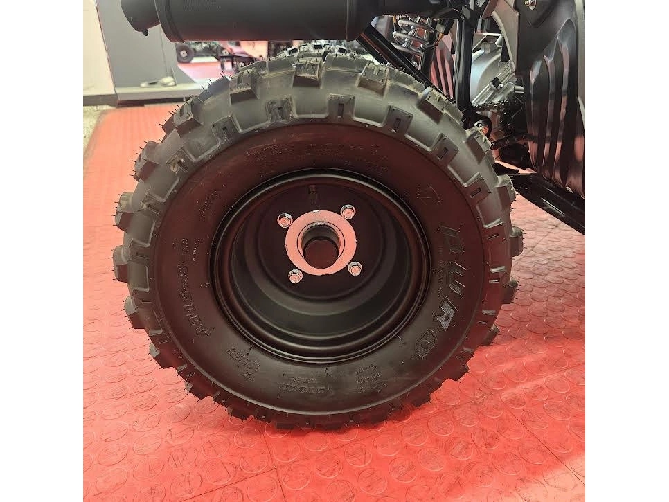 2026 Yamaha Raptor 110 alt