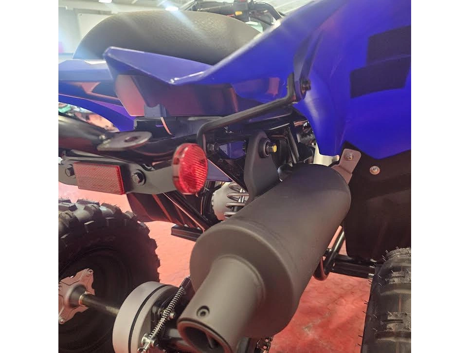 2026 Yamaha Raptor 110 alt