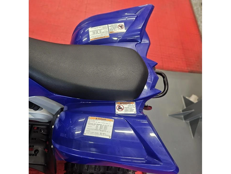 2026 Yamaha Raptor 110 alt