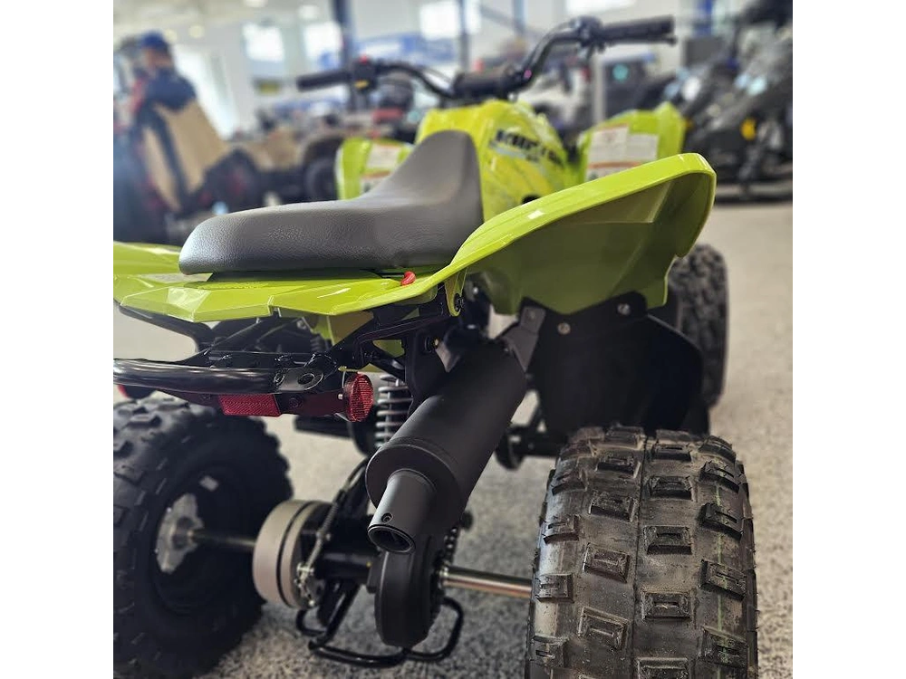 2026 Yamaha Raptor 110 alt