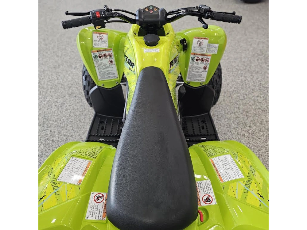 2026 Yamaha Raptor 110 alt