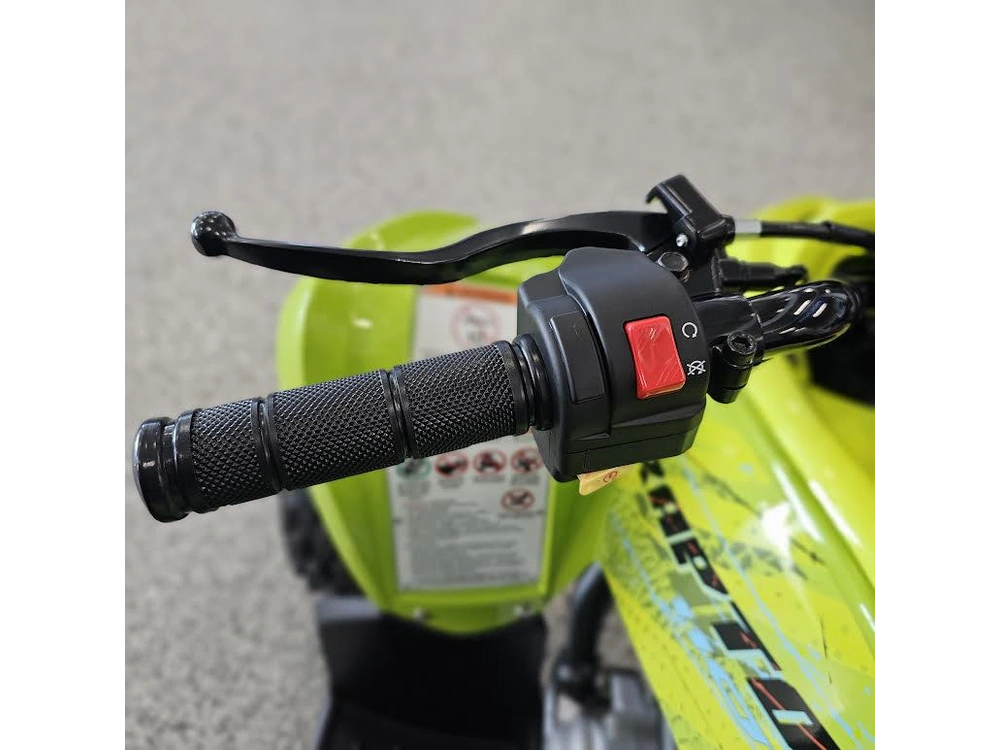 2026 Yamaha Raptor 110 alt