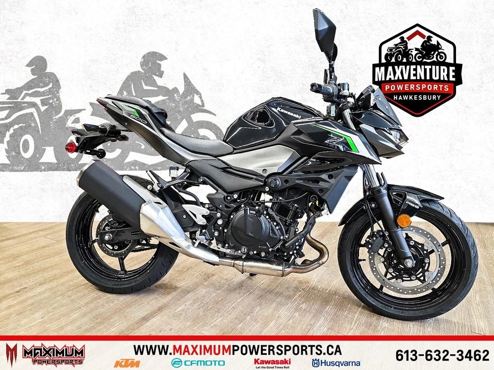 Kawasaki Z500 2024 alt