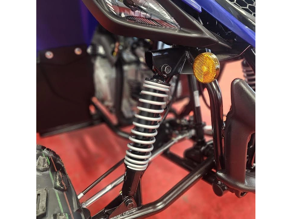 2026 Yamaha Raptor 110 alt