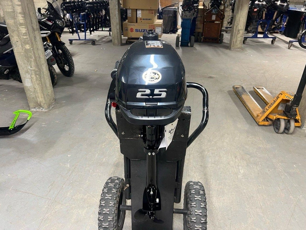 2026 Suzuki Df2.5s alt