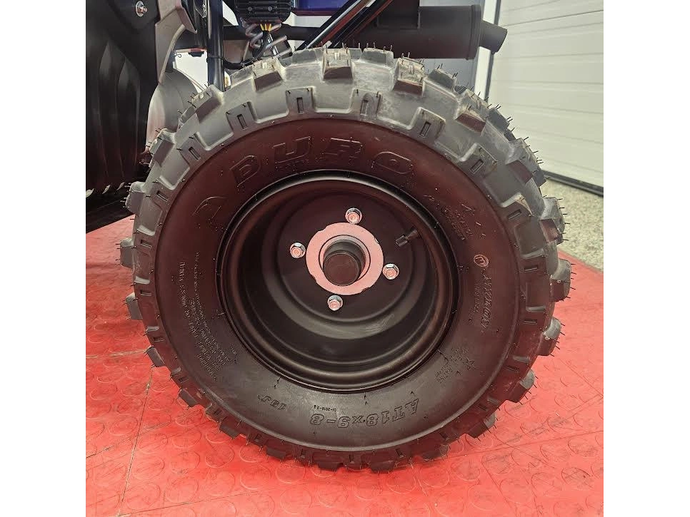 2026 Yamaha Raptor 110 alt