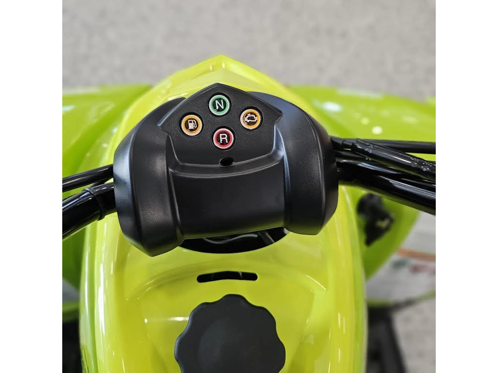 2026 Yamaha Raptor 110 alt