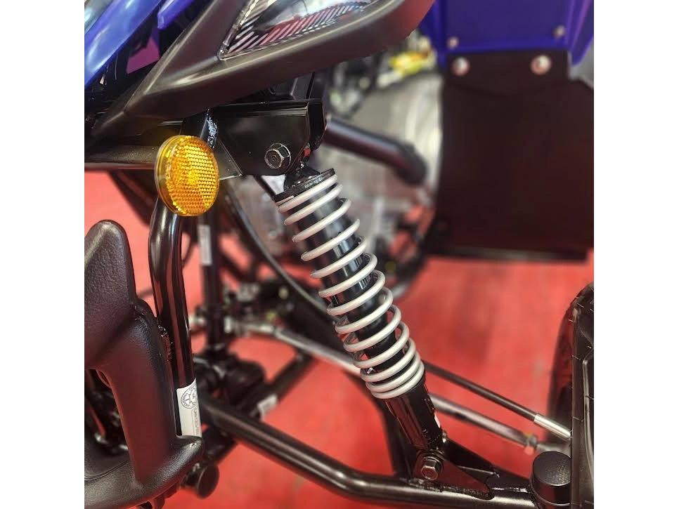 2026 Yamaha Raptor 110 alt