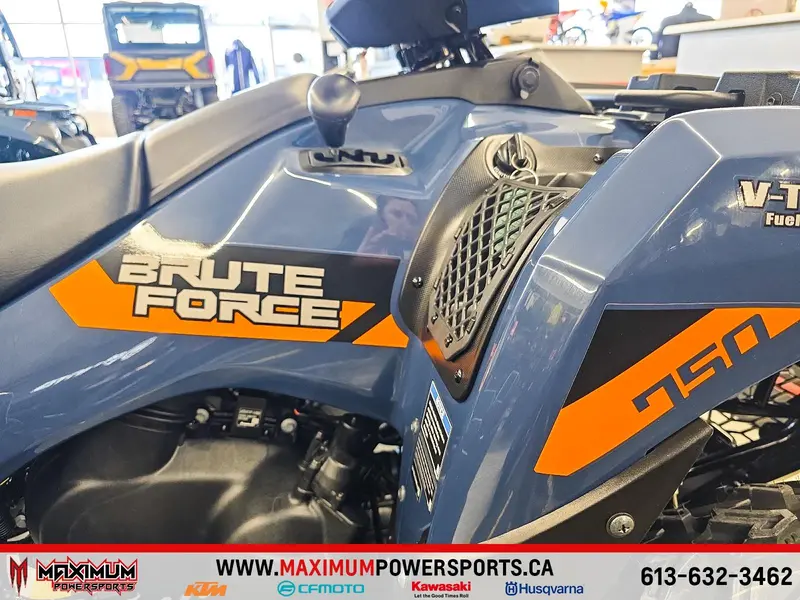 2026 Kawasaki BRUTE FORCE 750 EPS thumbnail 10
