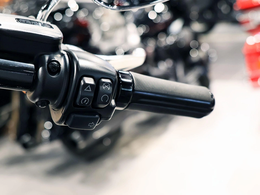 2019 Harley-davidson Softail Slim Flsl alt