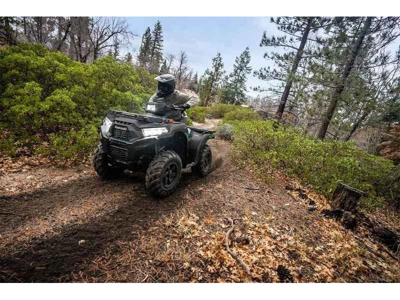 Kawasaki Brute Force 750 Eps 2027 alt