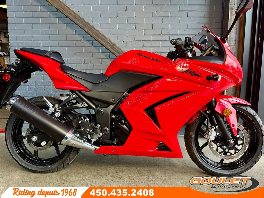Kawasaki Ninja 250 2010 alt
