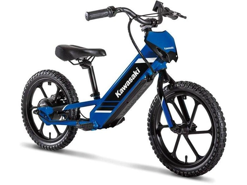 Kawasaki Elektrode 17 2027 alt