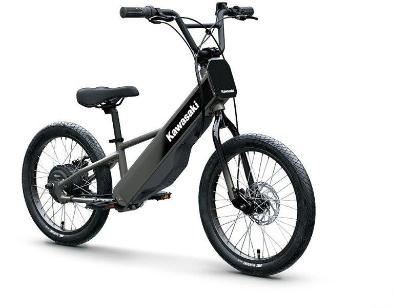Kawasaki Elektrode 20fs 2027 alt