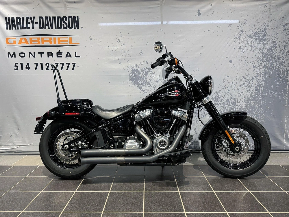 2019 Harley-davidson Softail Slim Flsl alt