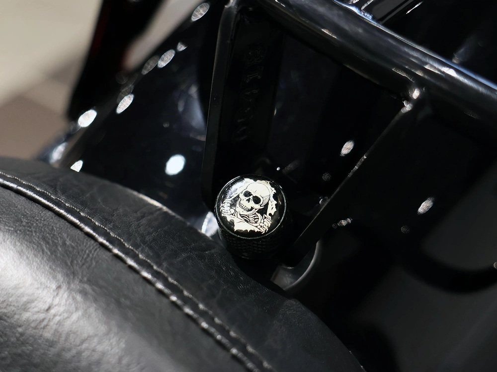 2019 Harley-davidson Softail Slim Flsl alt