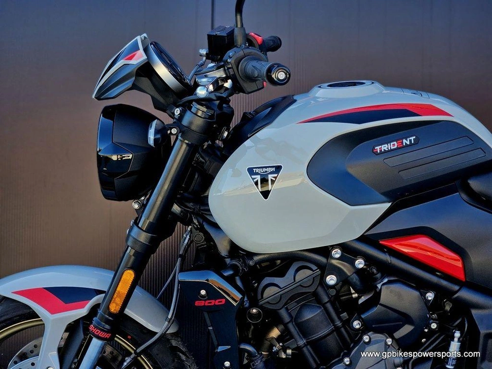 2026 Triumph Trident 800 Ash Grey