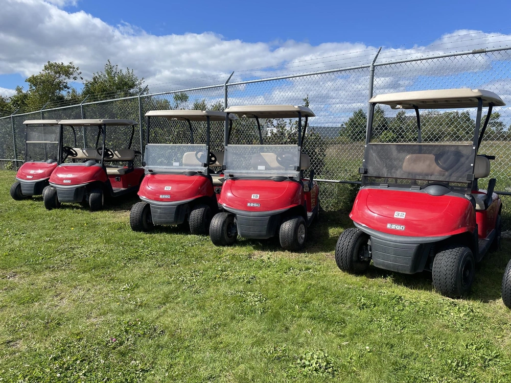 E-z-go Rxv 2019