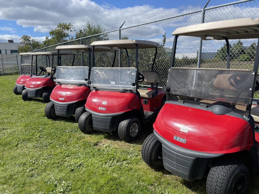 E-z-go Rxv 2019 alt