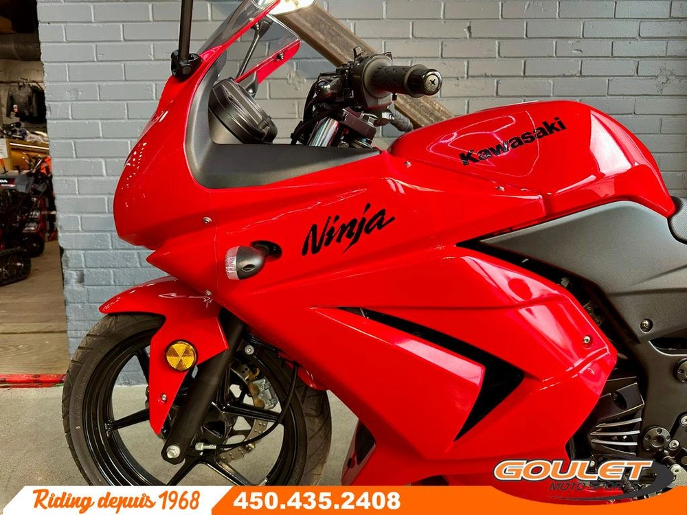 Kawasaki Ninja 250 2010 alt