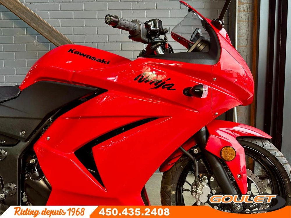 Kawasaki Ninja 250 2010 alt