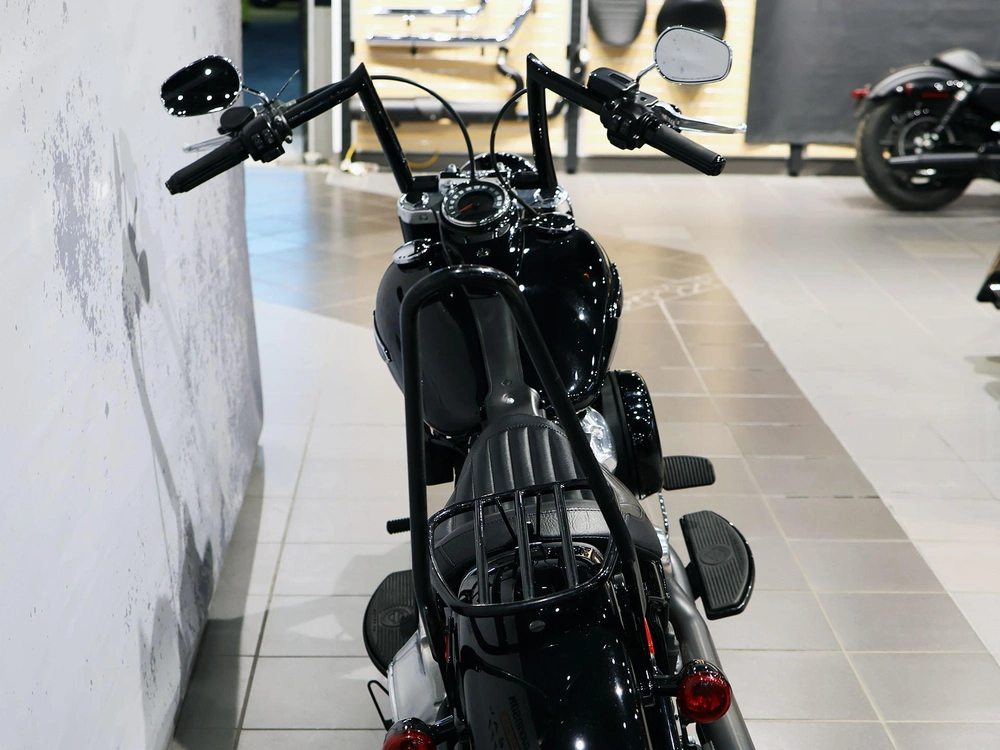 2019 Harley-davidson Softail Slim Flsl alt