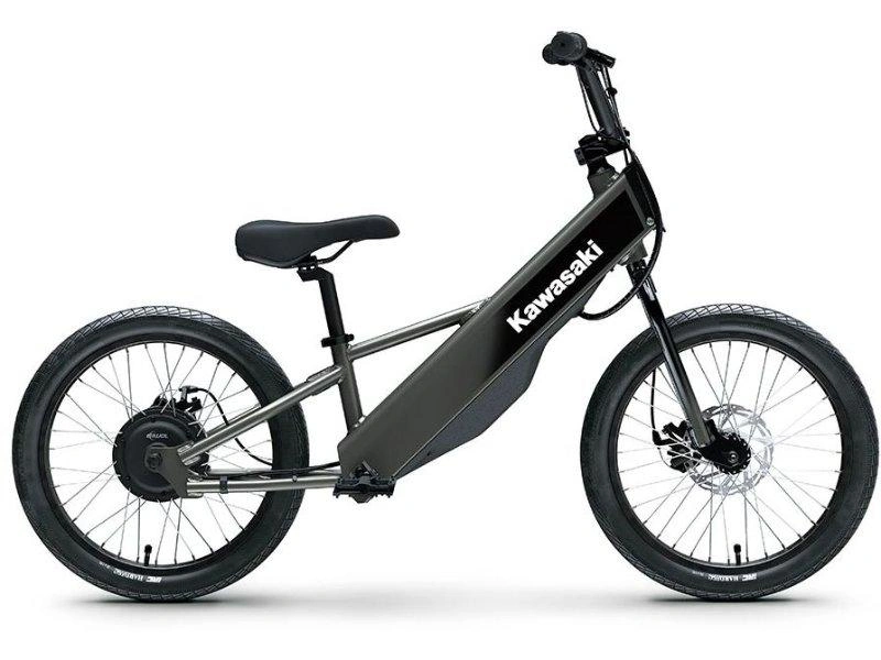 Kawasaki Elektrode 20fs 2027 alt
