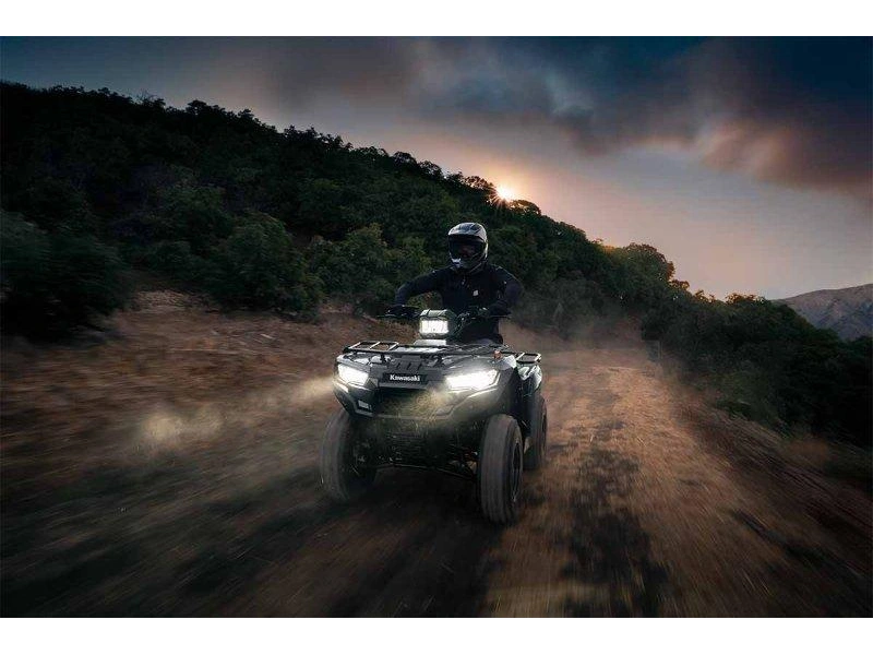 Kawasaki Brute Force 300 2027 alt