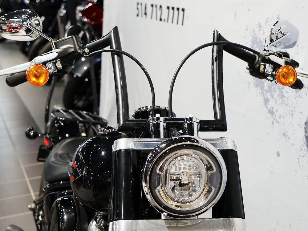 2019 Harley-davidson Softail Slim Flsl alt