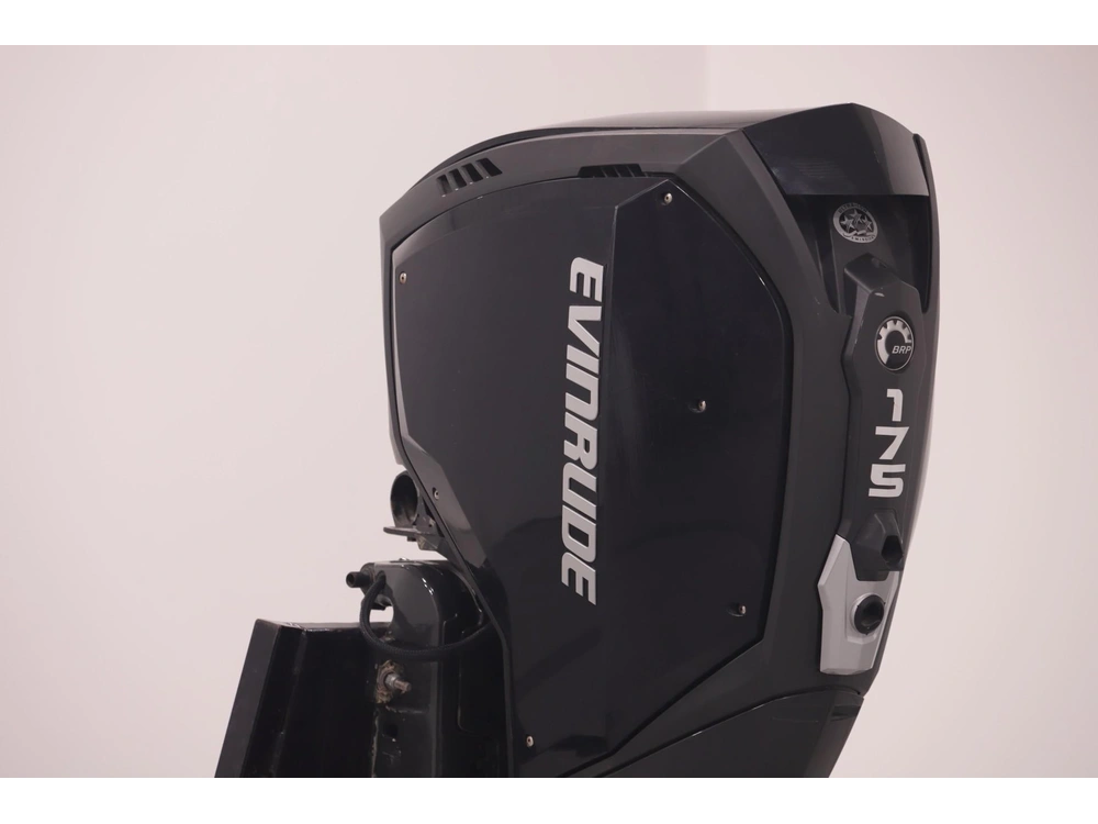 2019 Evinrude 175hp G2 25" alt